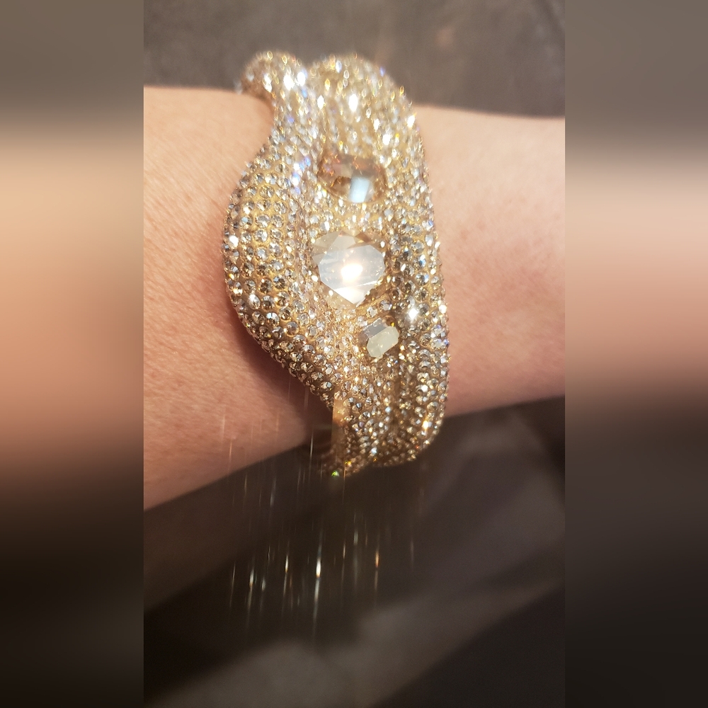 ATELIER SWAROVSKI TIGRES